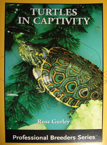 Turtles in Captivity - Click Image to Close